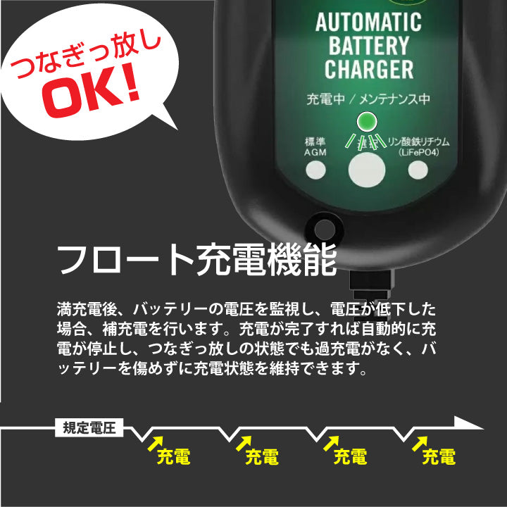 デルトラン バッテリーテンダー800(リチウムバッテリー対応)