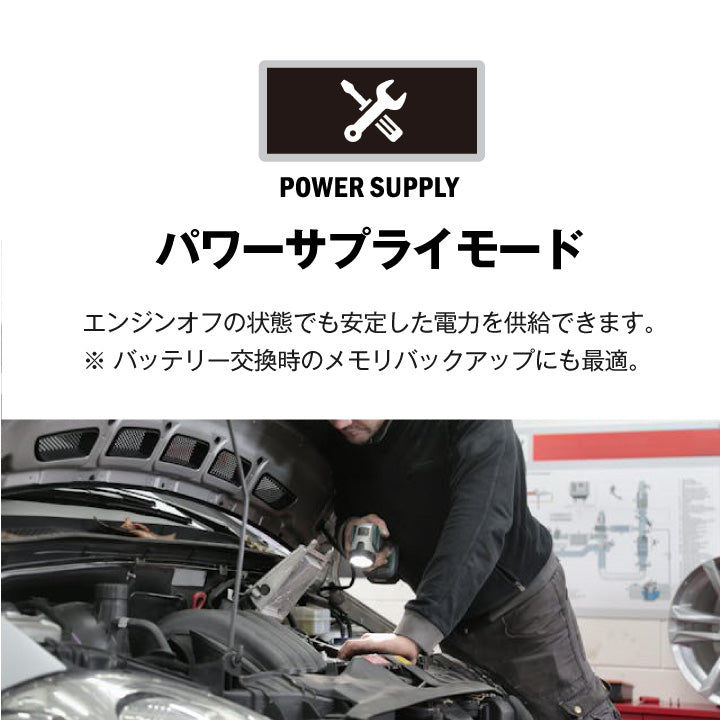 スーパーナット バッテリー充電器 ディープサイクルバッテリー充電器(12V専用)