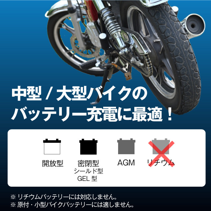 スーパーナット バッテリー充電器 スーパーナット充電器PRO(12V専用)