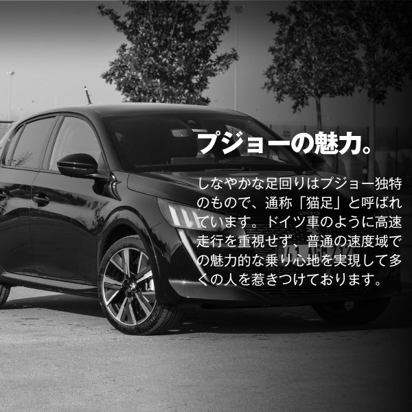 プジョー専用バッテリー【アイドリングストップ車対応】