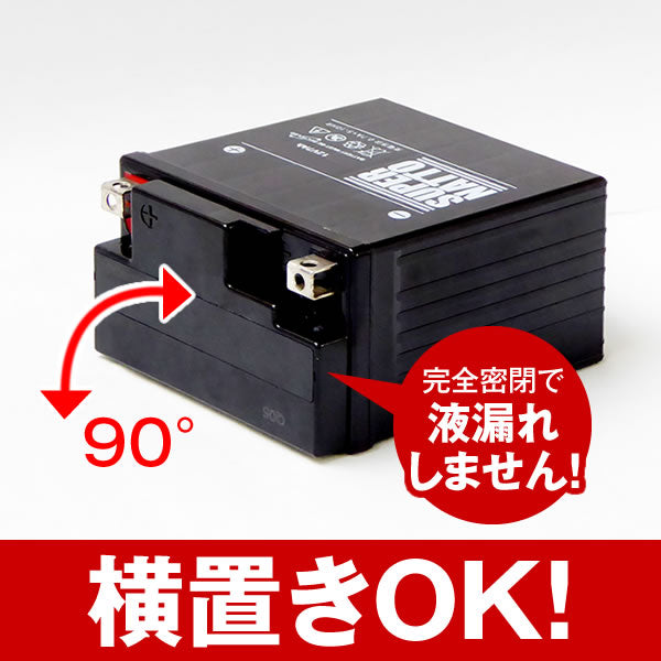 スーパーナット 12SN36 サイクルバッテリー