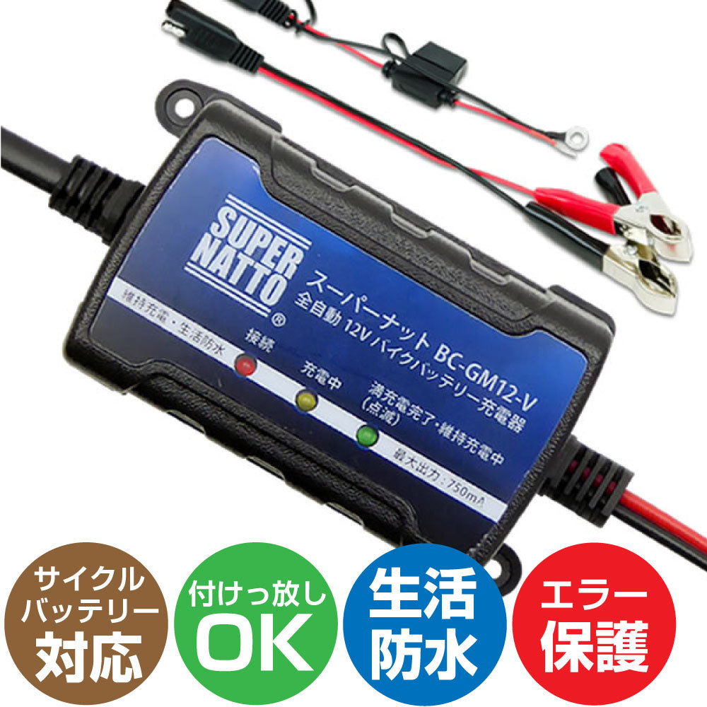 スーパーナット ST-1220 電動リール用バッテリー+充電器+防水キャリーケース 3点セット 釣り用端子(ネジ)付き