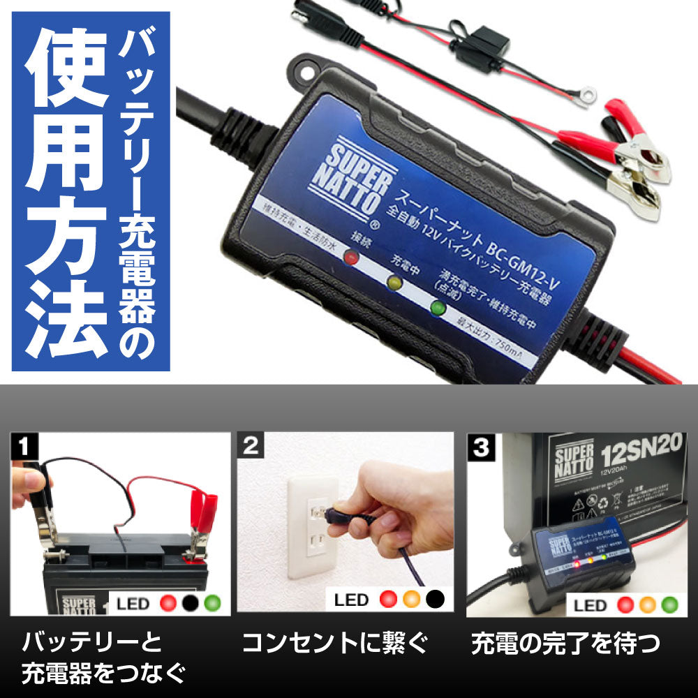 スーパーナット ST-1220 電動リール用バッテリー+充電器+防水キャリーケース 3点セット 釣り用端子(ネジ)付き