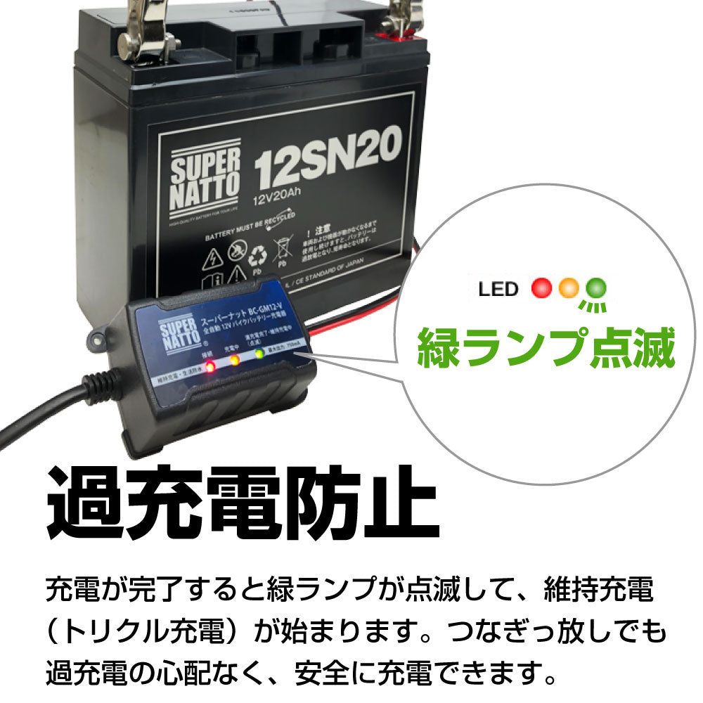 スーパーナット ST-1220 電動リール用バッテリー+充電器+防水キャリーケース 3点セット 釣り用端子(ネジ)付き
