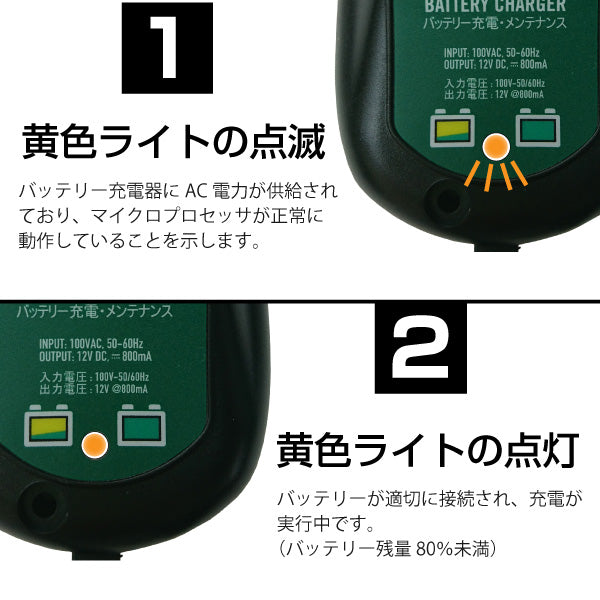 デルトラン バッテリーテンダー800