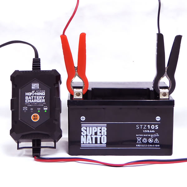スーパーナット 星乃充電器 (6V/12V対応)