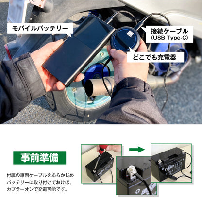 スーパーナット バッテリー充電器 どこでも充電器（12V専用）