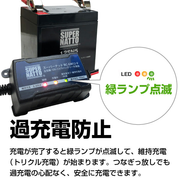 国内正規品販売ヤフオク! - 電動リールバッテリーでお困り方へ 常時 